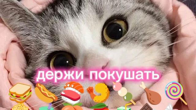 🩷котик🩷