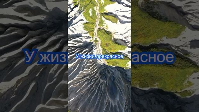 Никогда не говори   "Никогда".