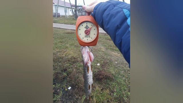 итоги