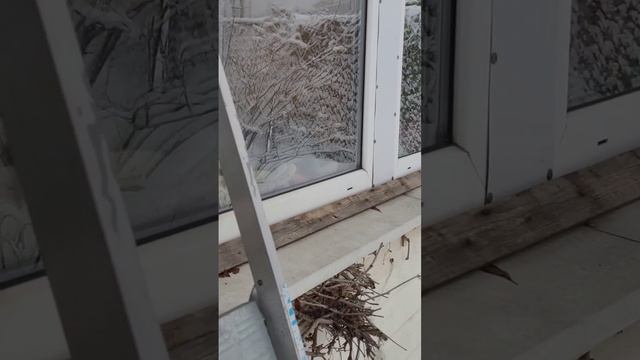 Падал прошлогодний снег