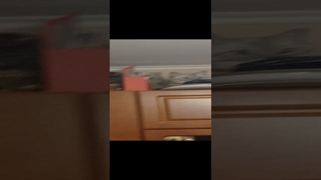 1000010057.mp4