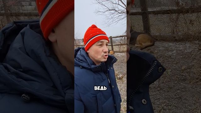 Самое глупое это ставить цели 31 декабря  #shorts