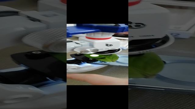 издеваюсь над листком день 1