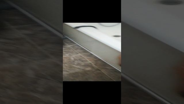 я просто хотела помыться, а на меня напала змея 🤣