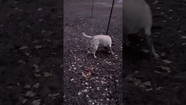 Ну, что ж!