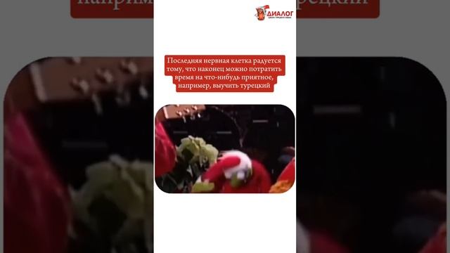 Все успели за подарками? Ссылка в описании