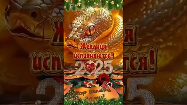 1000082308.mp4