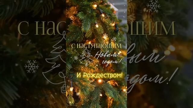 Компания "MAGNUS" искренне поздравляет вас с наступающим Новым годом и Рождеством!