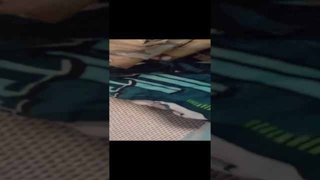 бронижелеты