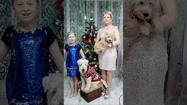 #Солдатский #привал #Белгород #Россия
