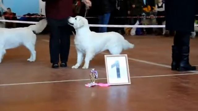 МОНО МИАСС 2017 11 ФЕВРАЛЯ