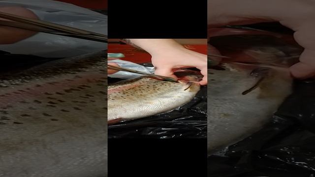 1000172301.mp4