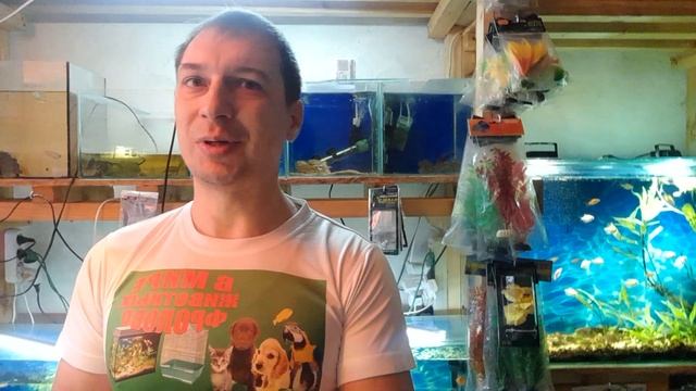 Поздравляю с Новым Годом!!!