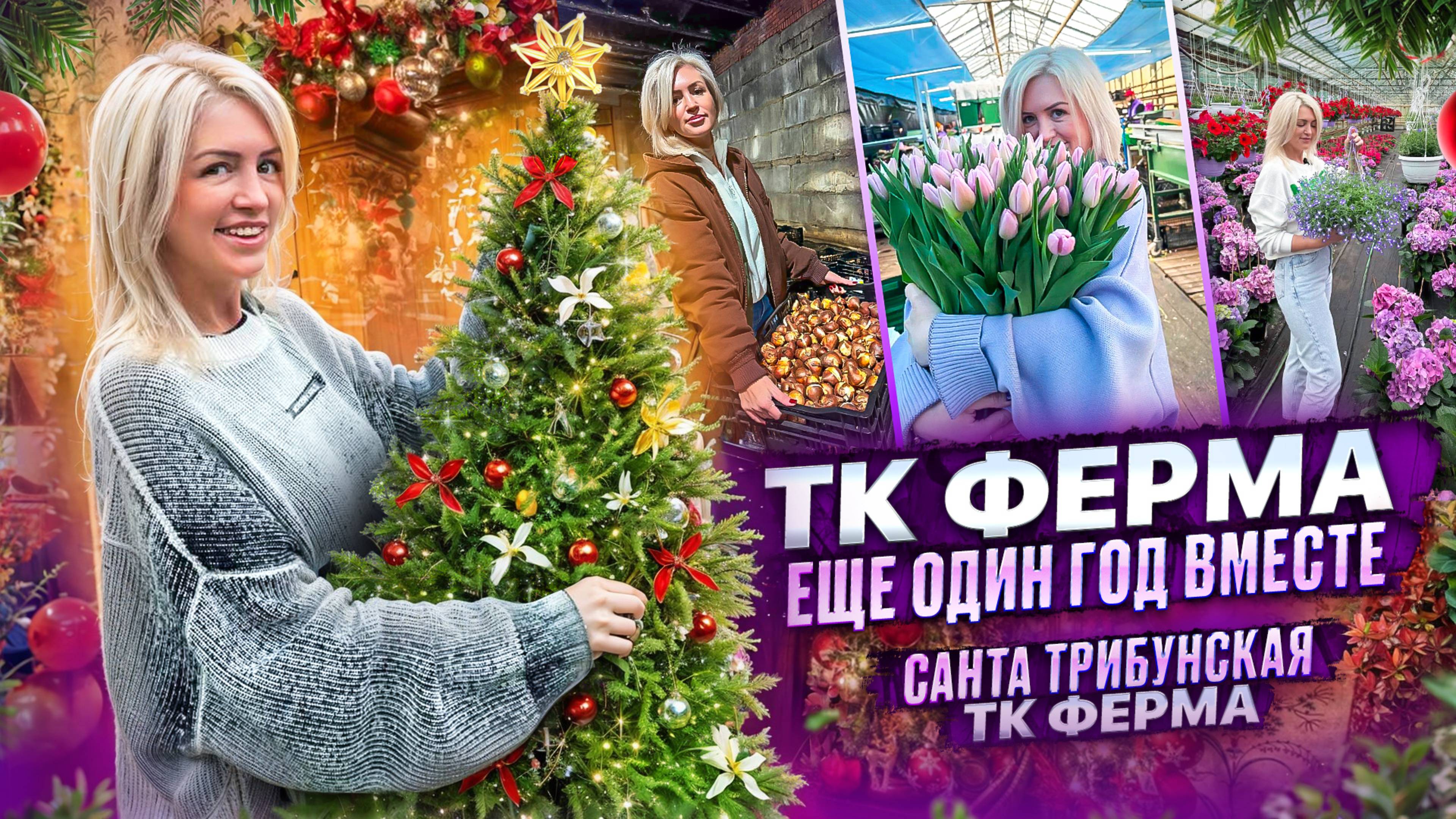ИТОГИ 2024