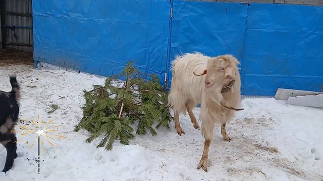 Праздник к нам приходит