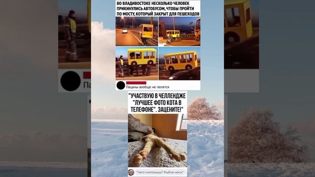 #мемы#юмор#ржака#смех