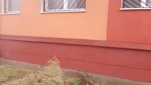 КАЛИНИНГРАД 2024: 31 декабря 2024 в Балтрайоне
