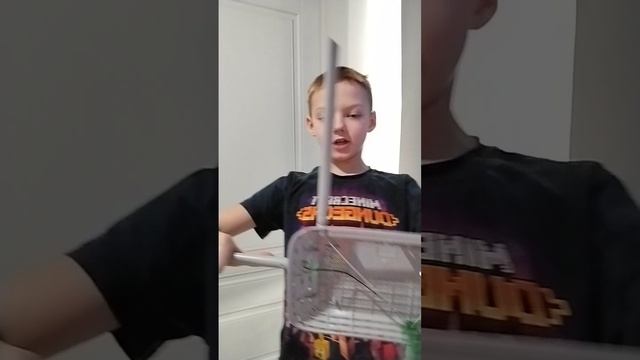 scene_output.mp4