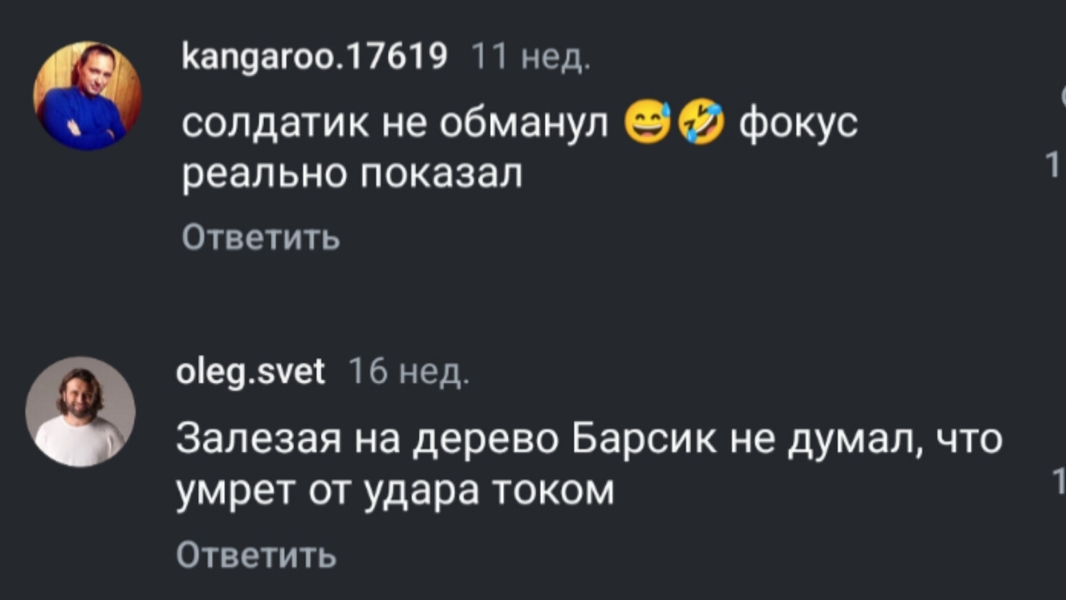Бедный Барсик
