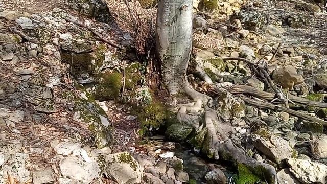 От «Козырька» до водопада «Рыжий»