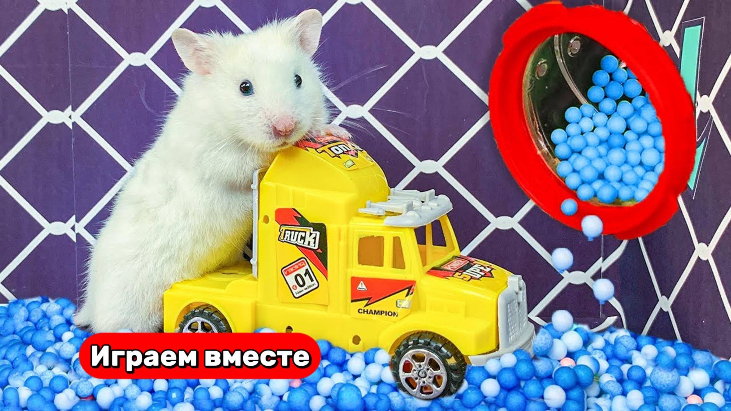 Хомяк выбирается из тюрьмы с ловушками 🐹🐹🐹 Видео для детей