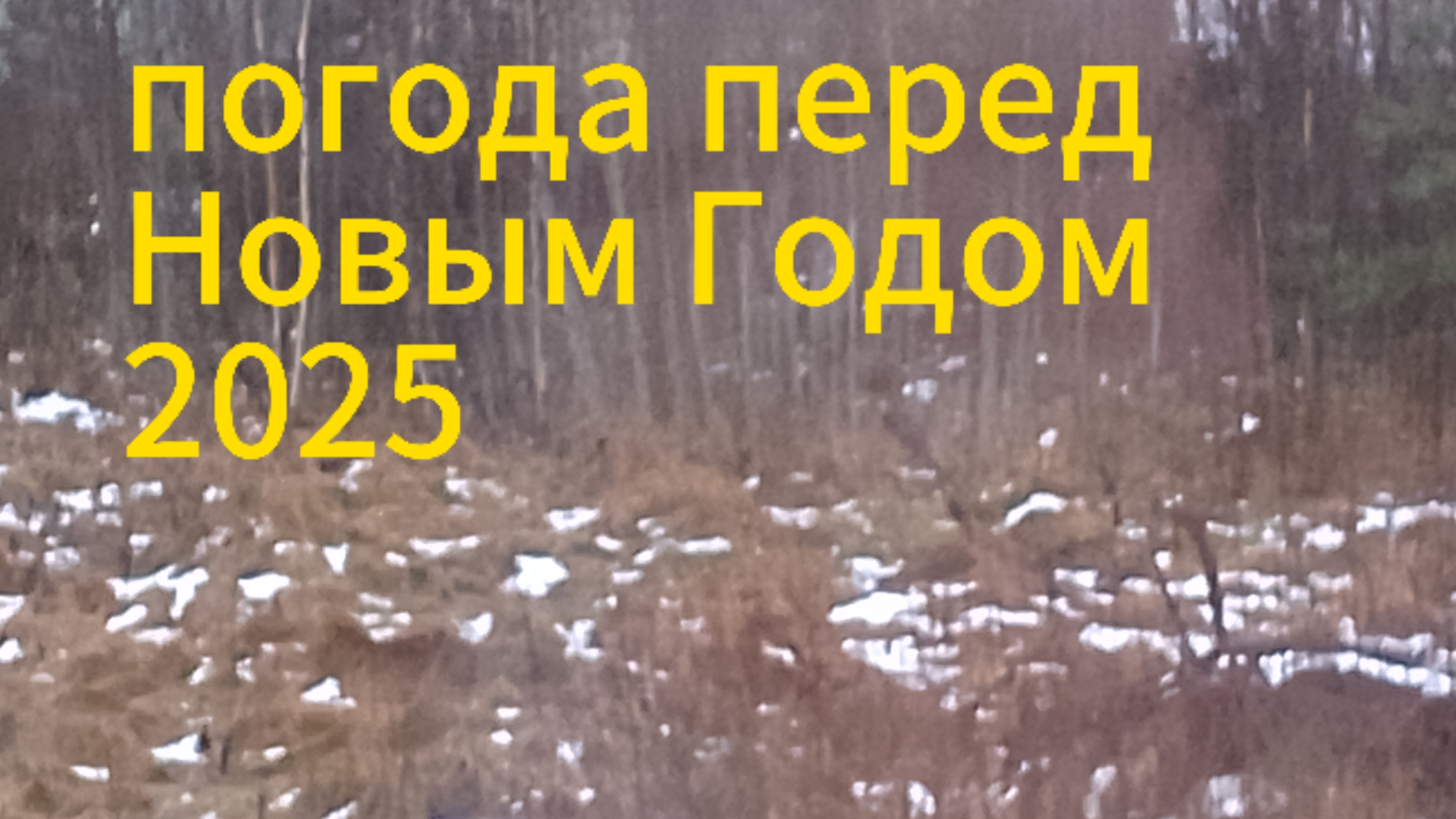 Погода на Новый Год 2025 31-12-2024, Смоленск