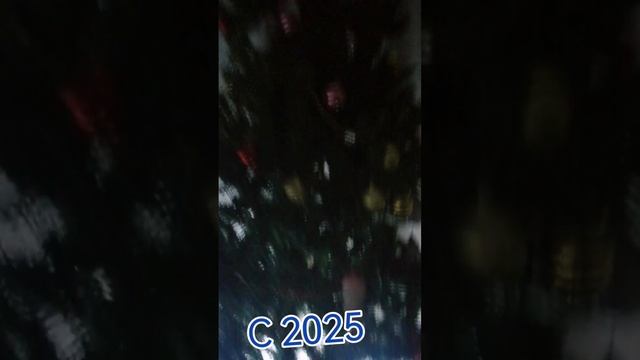 С новым 2025 годом