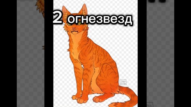 Топ 6 моих любимых котов воителей #коты воители#эдит