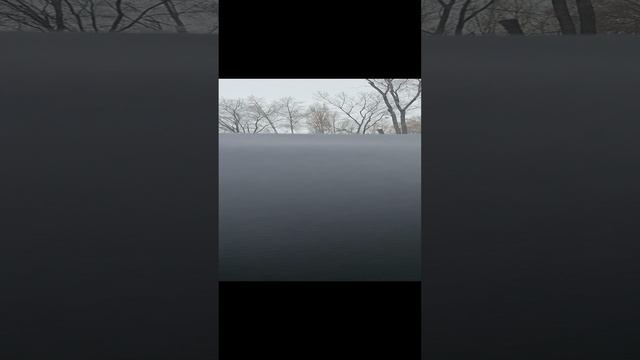 1000008677.mp4