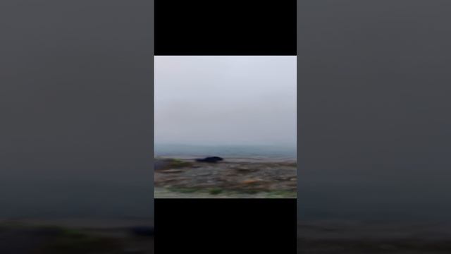Купание в гейзере 31 декабря.