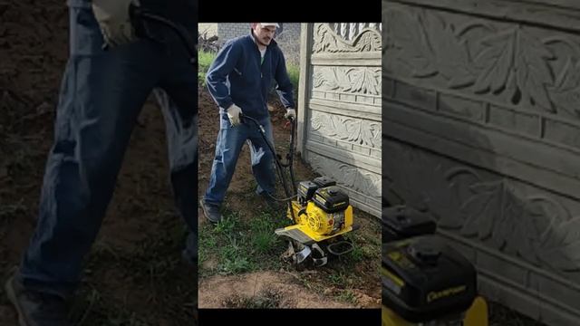 История повторяется. Мечты сбываются.