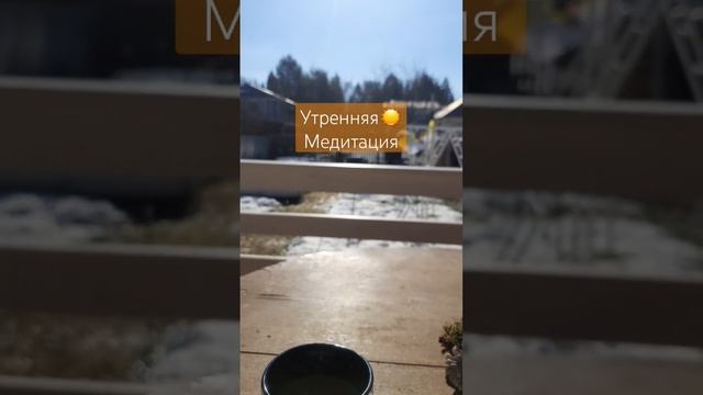 Morning meditation#открытаяйога #108ой #yoga #медитация