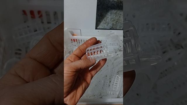 ТПА готов. С наступающим Новом Годом!