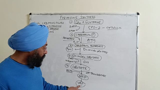 #Pyrimidine nucleotide synthesis, breakdown & regulation with mnemonics under 10 minute