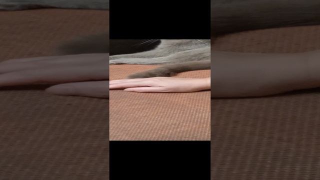 31-12-2024