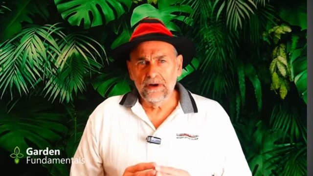 Сколько различных удобрений вы должны использовать
