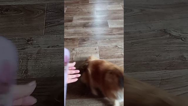 1000050645.mp4