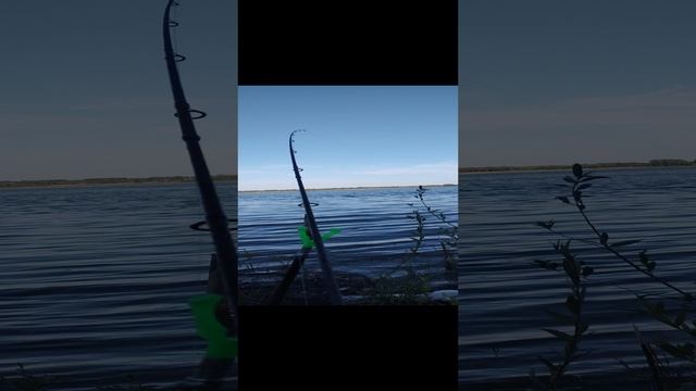 VID_20240829_175629904.mp4