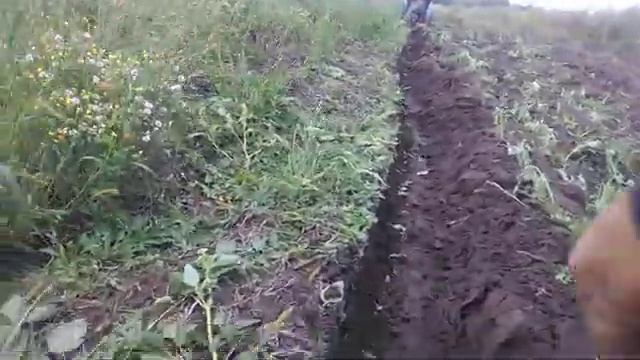 Экстрим пахота по бурьяну!