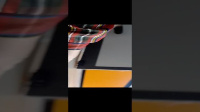 31 декабря новый год с артёмом то есть со мной и с барсиком