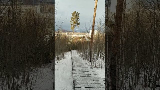 31.12.24 Уктус