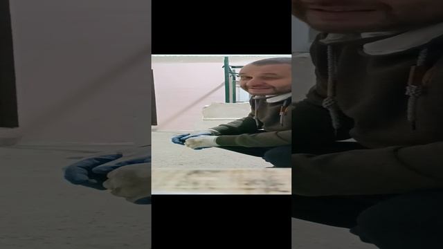 VID_20241231_102449