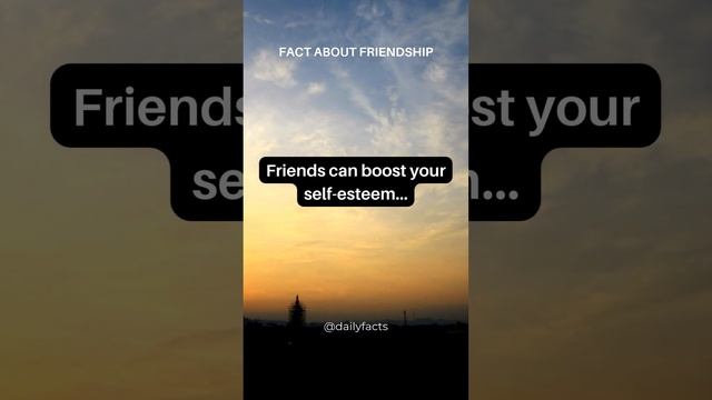 Fact about Friendship #factaboutFriendship  #facts #Friendshipstatus #Friendship  @dailyfacts