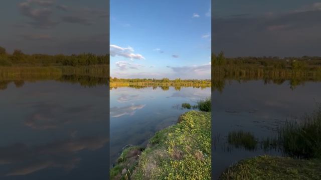 🎣а река течёт…