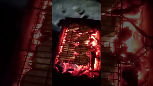 Новогодний шашлык