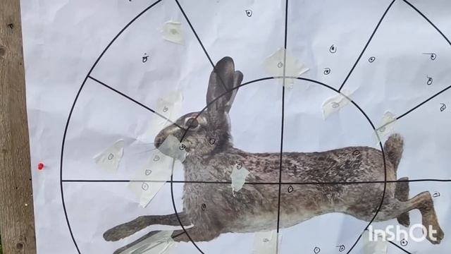 ИЖ-18е 32 калибра. Подбор патрона (др. # 1) на зайца. Попытка 1я. Полумагнумы, разные пороха...