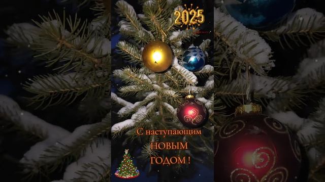 С наступающим!🎄🎉🥂