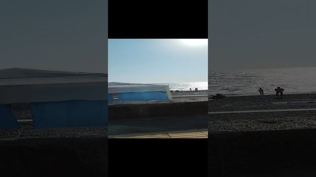 5267.mp4