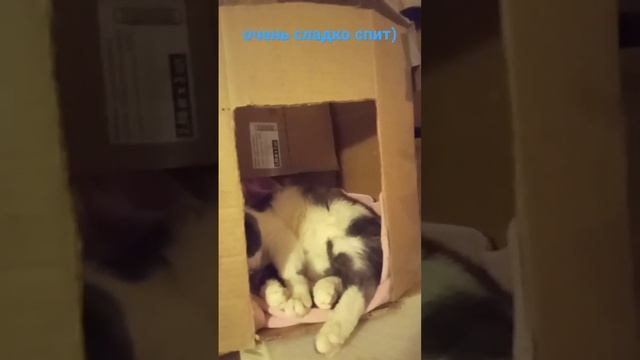 А ты все слушаешь, костер давно погас! #shorts #юмор  подпишись!