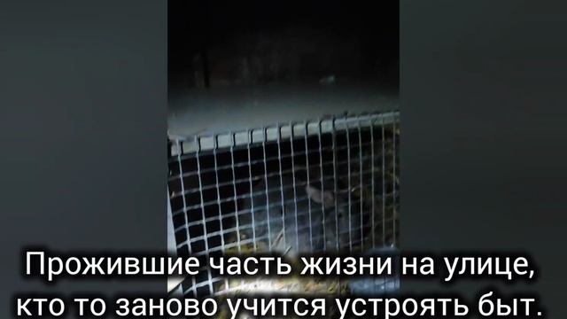 1000673665.mp4